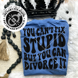 You Can't Fix Stupid But You Can Divorce It Tee